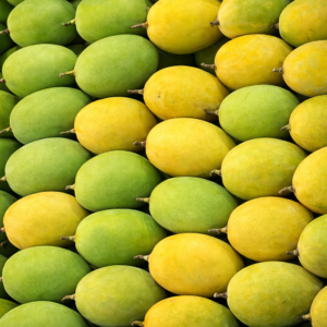 Devgad Alphonso Mango (GI‑Tagged)- 1 dozen